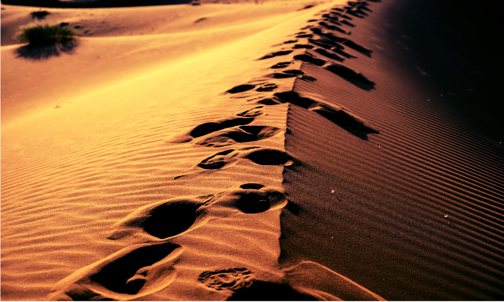 砂漠に続く足跡