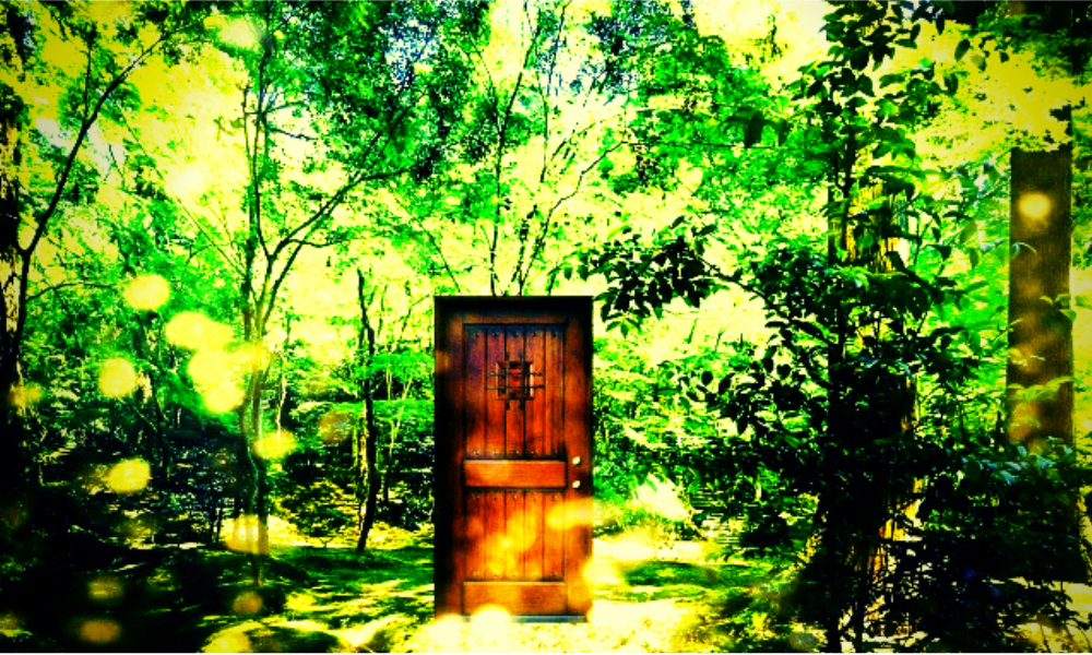 森の中に佇む扉